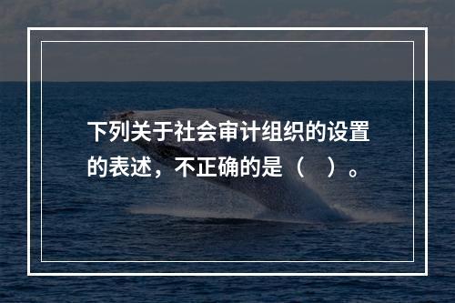 下列关于社会审计组织的设置的表述，不正确的是（　）。