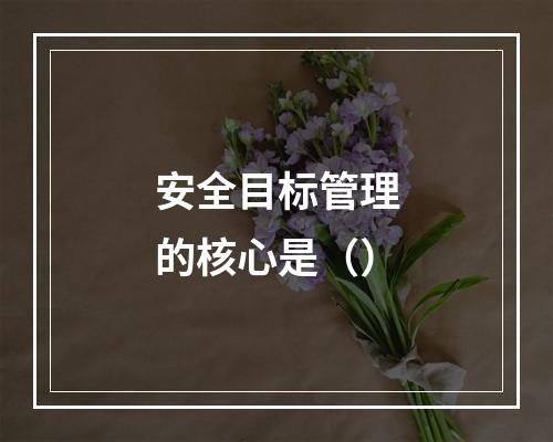 安全目标管理的核心是（）