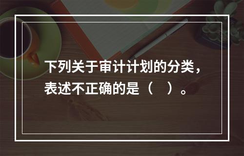 下列关于审计计划的分类，表述不正确的是（　）。