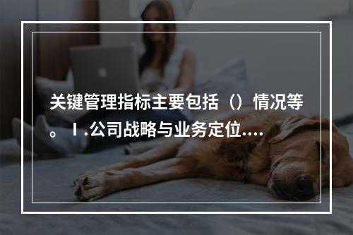 关键管理指标主要包括（）情况等。Ⅰ.公司战略与业务定位.经营