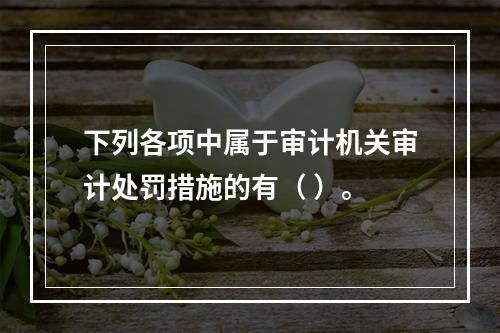 下列各项中属于审计机关审计处罚措施的有（ ）。