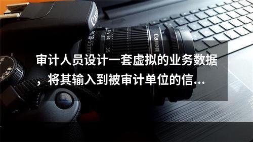 审计人员设计一套虚拟的业务数据，将其输入到被审计单位的信息系