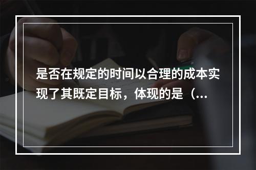 是否在规定的时间以合理的成本实现了其既定目标，体现的是（　）