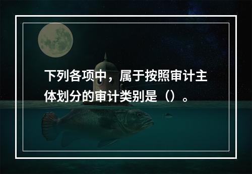 下列各项中，属于按照审计主体划分的审计类别是（）。