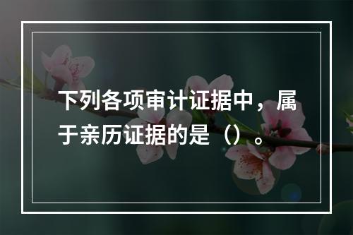 下列各项审计证据中，属于亲历证据的是（）。