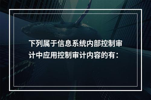 下列属于信息系统内部控制审计中应用控制审计内容的有：