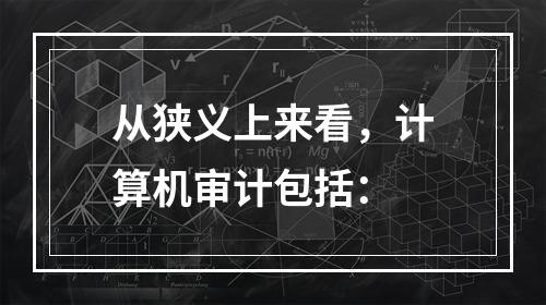 从狭义上来看，计算机审计包括：