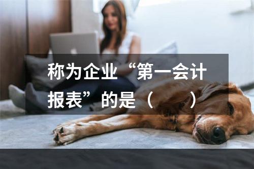 称为企业“第一会计报表”的是（  ）