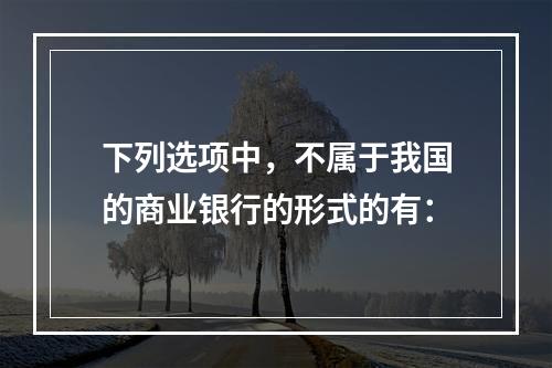 下列选项中，不属于我国的商业银行的形式的有：