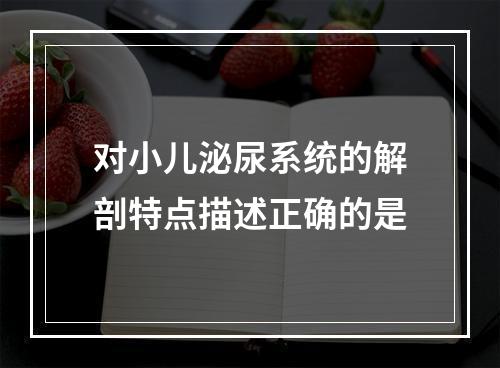 对小儿泌尿系统的解剖特点描述正确的是