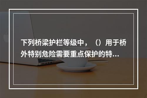 下列桥梁护栏等级中，（）用于桥外特别危险需要重点保护的特大桥