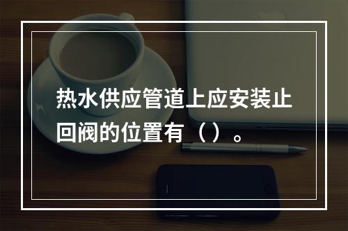 热水供应管道上应安装止回阀的位置有（ ）。