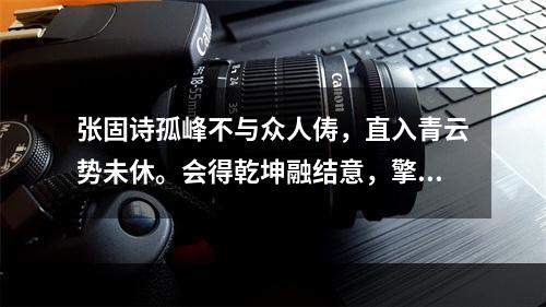 张固诗孤峰不与众人俦，直入青云势未休。会得乾坤融结意，擎天一