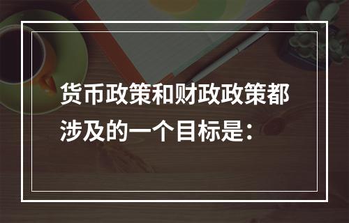 货币政策和财政政策都涉及的一个目标是：