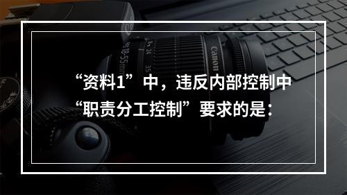 “资料1”中，违反内部控制中“职责分工控制”要求的是：