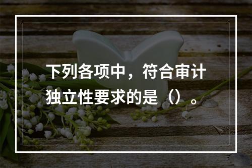 下列各项中，符合审计独立性要求的是（）。