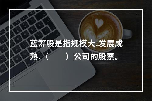 蓝筹股是指规模大.发展成熟.（　　）公司的股票。