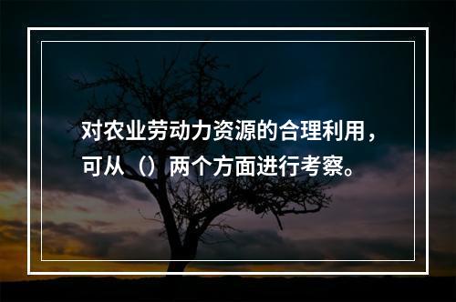 对农业劳动力资源的合理利用，可从（）两个方面进行考察。