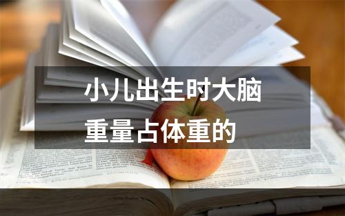 小儿出生时大脑重量占体重的