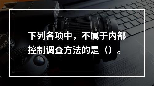 下列各项中，不属于内部控制调查方法的是（）。