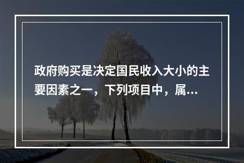 政府购买是决定国民收入大小的主要因素之一，下列项目中，属于政