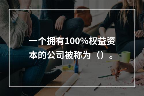 一个拥有100%权益资本的公司被称为（）。