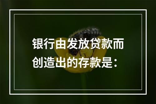 银行由发放贷款而创造出的存款是：