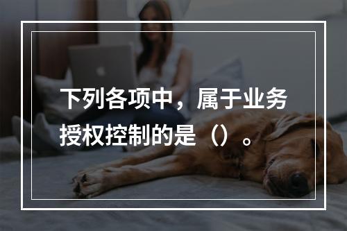 下列各项中，属于业务授权控制的是（）。