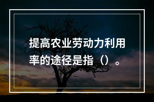 提高农业劳动力利用率的途径是指（）。