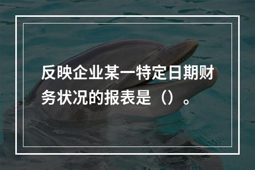 反映企业某一特定日期财务状况的报表是（）。