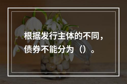 根据发行主体的不同，债券不能分为（）。