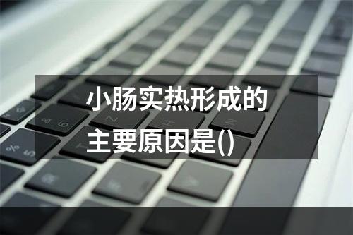 小肠实热形成的主要原因是()