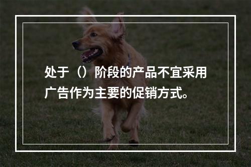 处于（）阶段的产品不宜采用广告作为主要的促销方式。