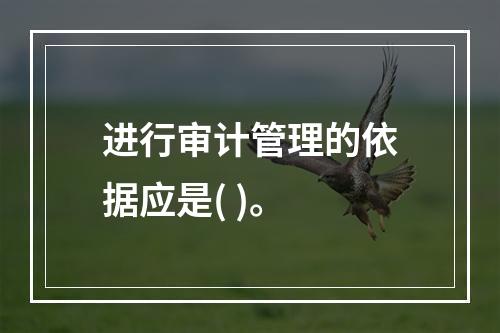 进行审计管理的依据应是( )。