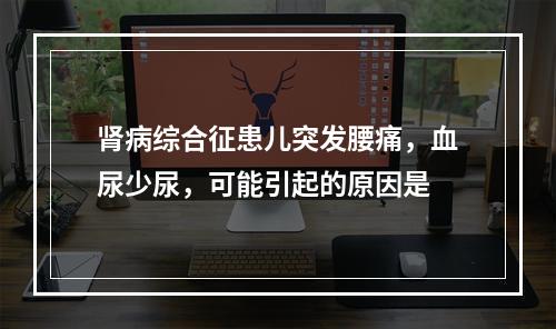 肾病综合征患儿突发腰痛，血尿少尿，可能引起的原因是