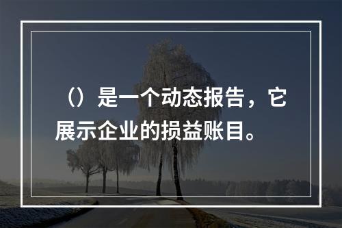 （）是一个动态报告，它展示企业的损益账目。