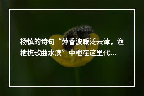 杨慎的诗句“萍香波暖泛云津，渔枻樵歌曲水滨”中枻在这里代指的