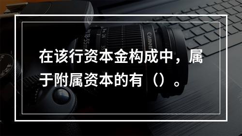 在该行资本金构成中，属于附属资本的有（）。