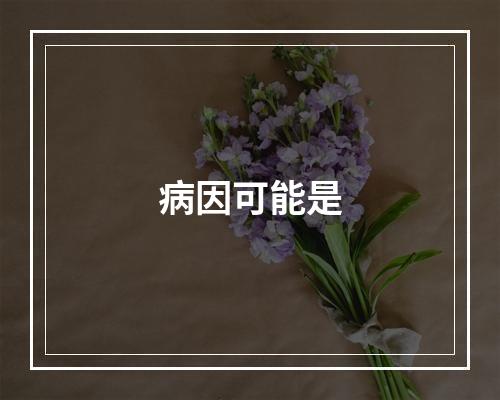 病因可能是