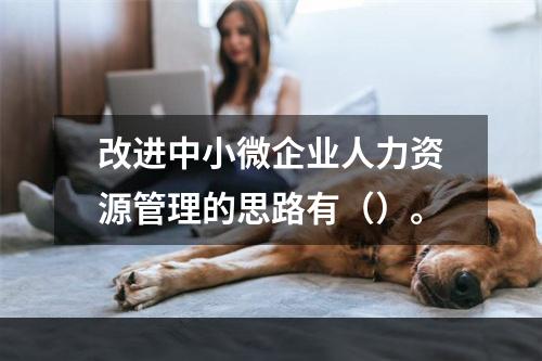 改进中小微企业人力资源管理的思路有（）。