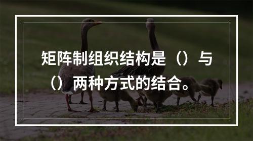 矩阵制组织结构是（）与（）两种方式的结合。