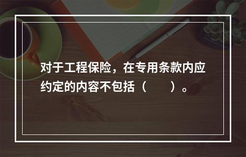 对于工程保险，在专用条款内应约定的内容不包括（　　）。