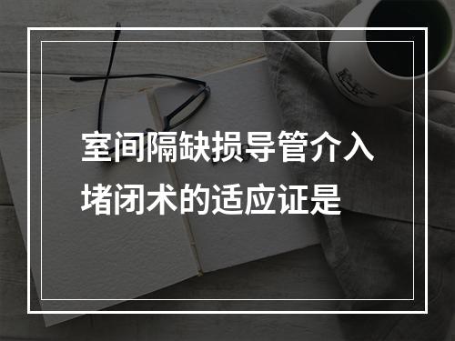 室间隔缺损导管介入堵闭术的适应证是