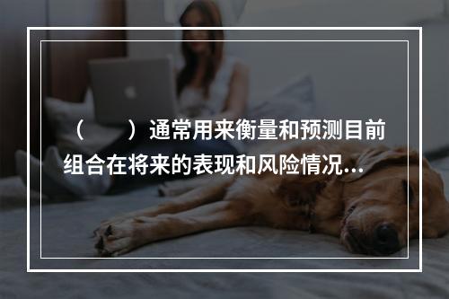 （　　）通常用来衡量和预测目前组合在将来的表现和风险情况。