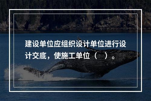 建设单位应组织设计单位进行设计交底，使施工单位（　）。