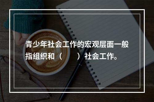 青少年社会工作的宏观层面一般指组织和（　　）社会工作。