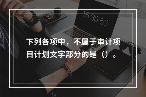 下列各项中，不属于审计项目计划文字部分的是（）。