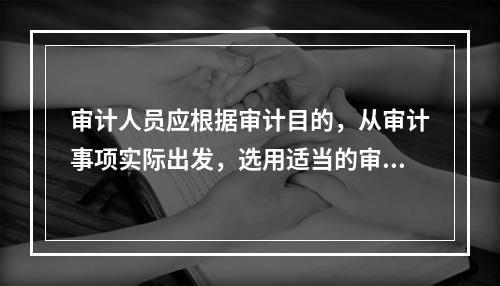 审计人员应根据审计目的，从审计事项实际出发，选用适当的审计标