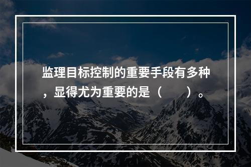 监理目标控制的重要手段有多种，显得尤为重要的是（　　）。