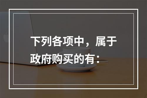 下列各项中，属于政府购买的有：